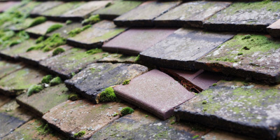 Penzance roof repair costs